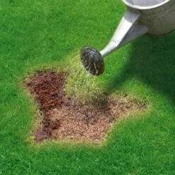 Miracle-Gro Patch Magic Grass Seed, Feed & Coir 1.1kg 8 Miracle-Gro Patch Magic Grass Seed, Feed & Coir 1.1kg -Garden Decoration Shop 245940 miracle gro patch magic grass seed feed and coir 3