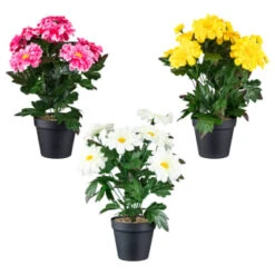 B&M Zinnia Plant Pot - Yellow -Garden Decoration Shop 392826 zinnia in pot group