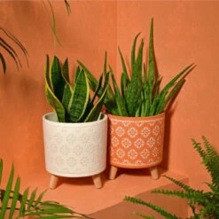 B&M Planter On Tripod Stand - Cream -Garden Decoration Shop 393647 superbloom planter on tripod stand terracotta1