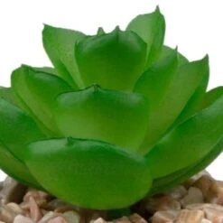 B&M Assorted Small Concrete Succulents -Garden Decoration Shop 394713 small concrete succulent 6