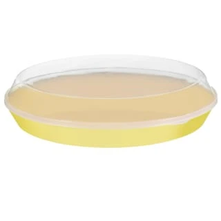 B&M Food Tray With Clear Lid - Yellow 1 B&M Food Tray With Clear Lid - Yellow